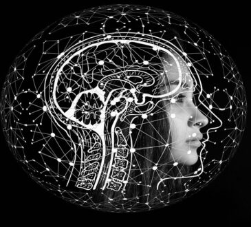 Human Brain