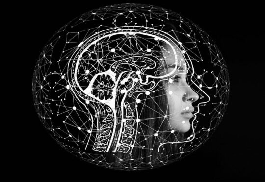 Human Brain