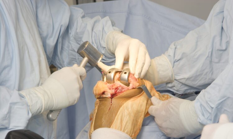 orthopedic doctor