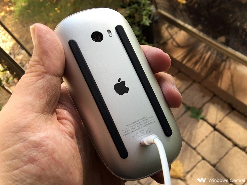 Magic Mouse 2 Charging Hero