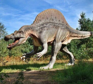 What Dinosaur has 500 Teeth? – Racist meme of 2021