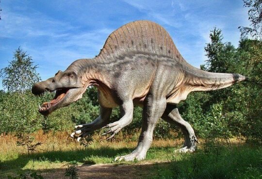 What Dinosaur has 500 Teeth? – Racist meme of 2021