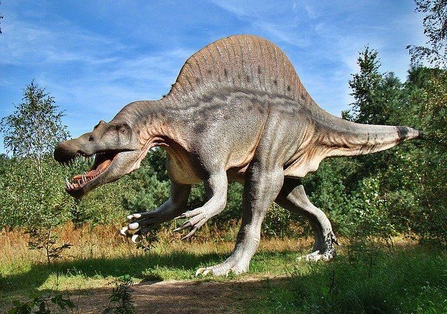 What Dinosaur has 500 Teeth? – Racist meme of 2021