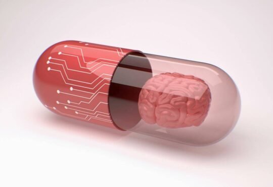 Best Nootropics Wholisticresearch Describing Synthetic Best Nootropics Wholisticresearch