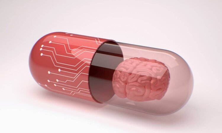 Best Nootropics Wholisticresearch Describing Synthetic Best Nootropics Wholisticresearch