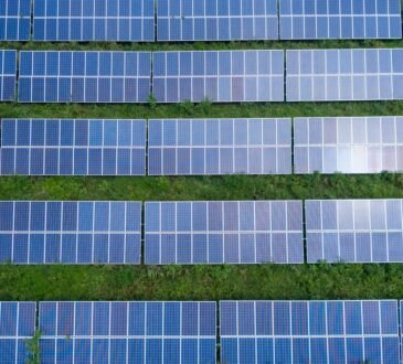 how solar energy can help you
