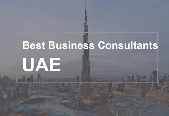 Top 10 Business Setup Consultants in UAE