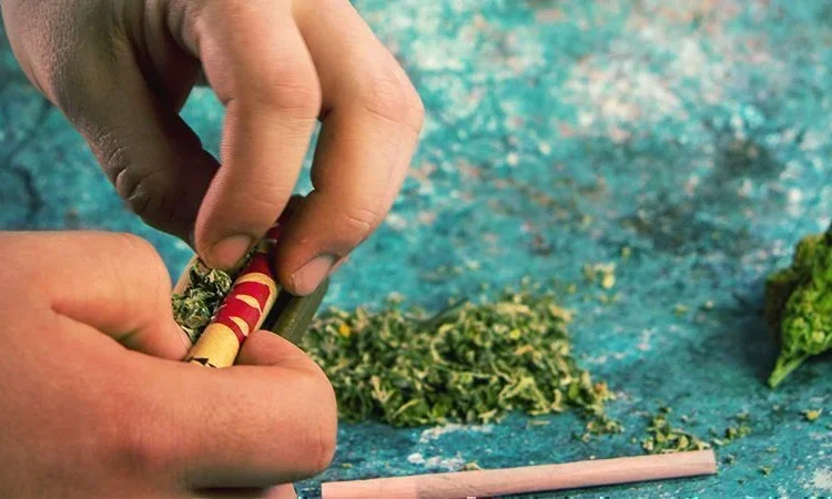 Weed