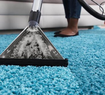 professional carpet cleaner Maidstone