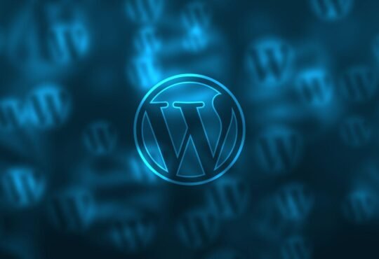 Recondition Your Business and Make It Stand Out With The Help Of WordPress Website Design Company