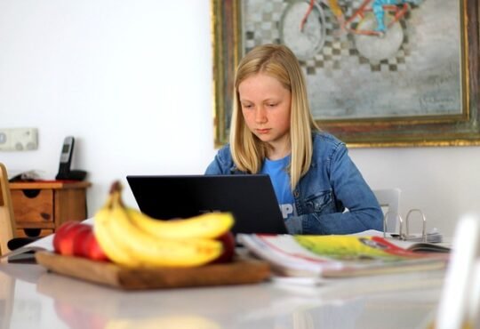 Online Learning