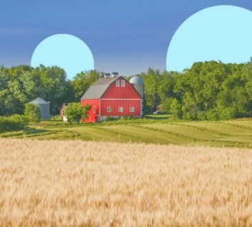 Direct USDA Loans