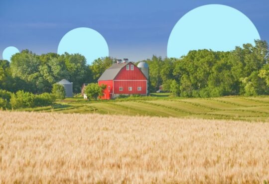 Direct USDA Loans