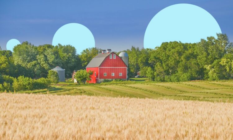 Direct USDA Loans