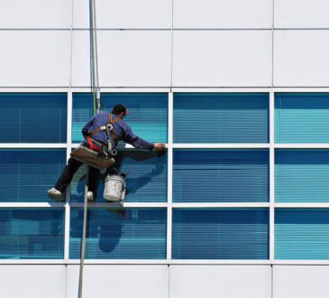 professional window cleaner