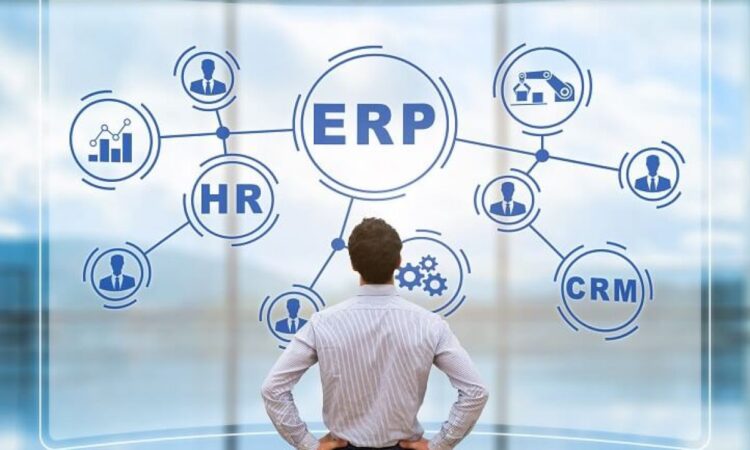 Users of ERP Systems