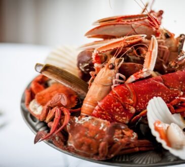 Guide to the Best Seafood Restaurants