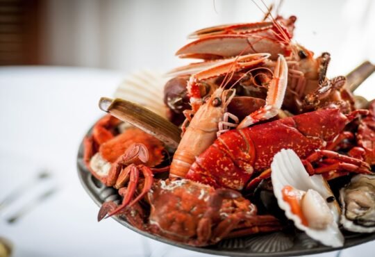 Guide to the Best Seafood Restaurants