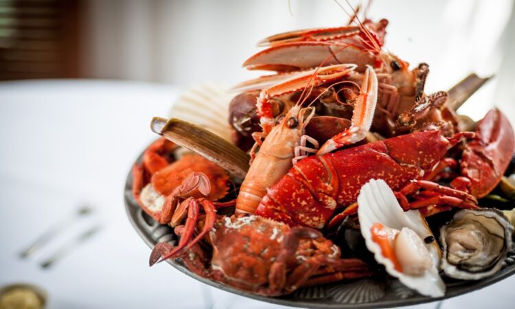 Guide to the Best Seafood Restaurants