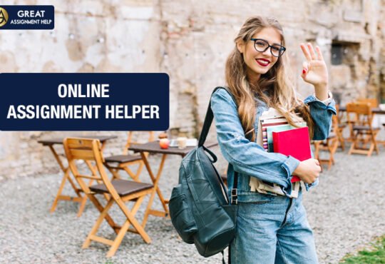 Assignment Help