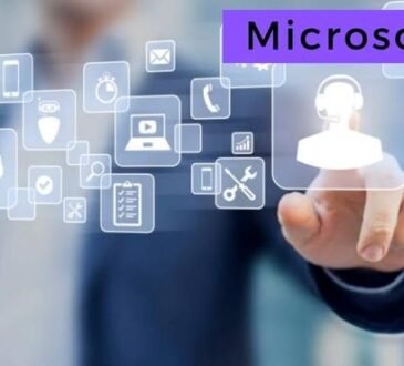 Microsoft Dynamics CRM Administrator Services