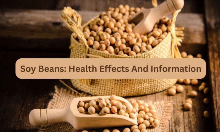 Soy Beans: Health Effects And Information
