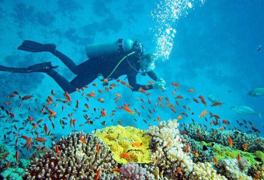 scuba in malvan