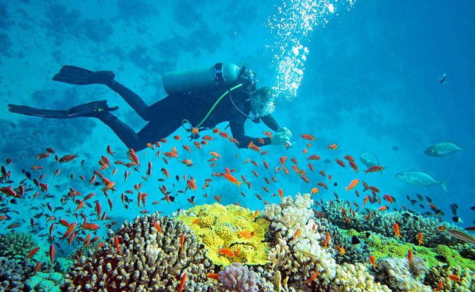 scuba in malvan