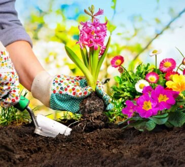 Gardening