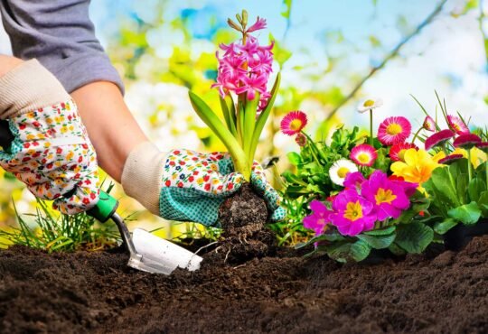 Gardening
