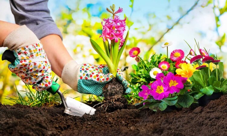 Gardening