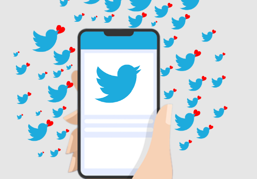 SMM Panel For Twitter