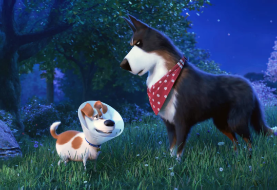 Animated Dog Movies