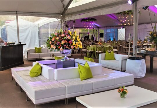 party rental service