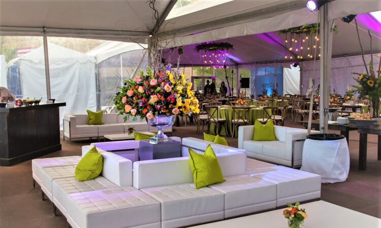 party rental service