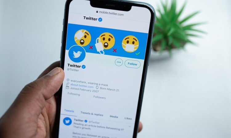 Buying Cheap Twitter Accounts: A Guide To How It All Works