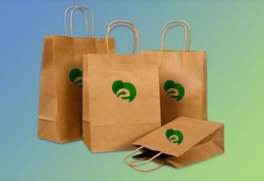 Paper Bags Manufacturer