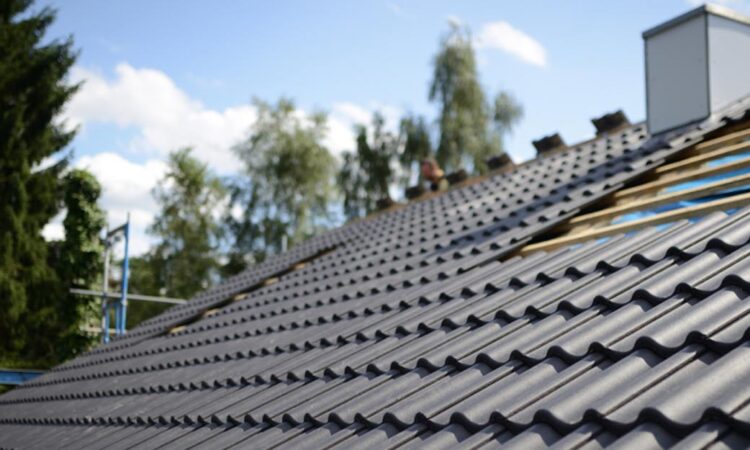 Repair a Roof Leak