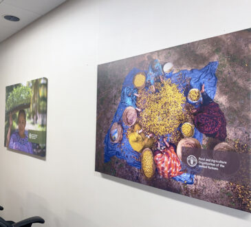 Canvas Prints Louisville KY