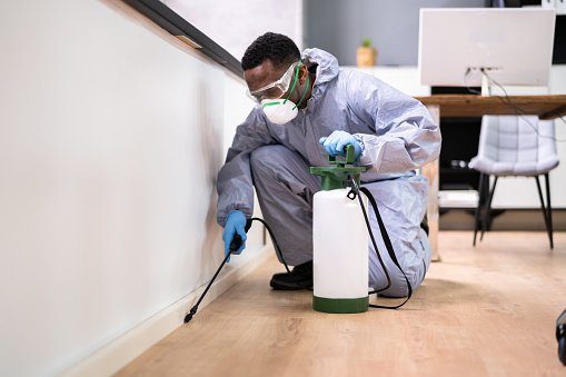 Professional Building Inspections