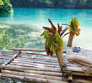 legal weed farms in Montego Bay