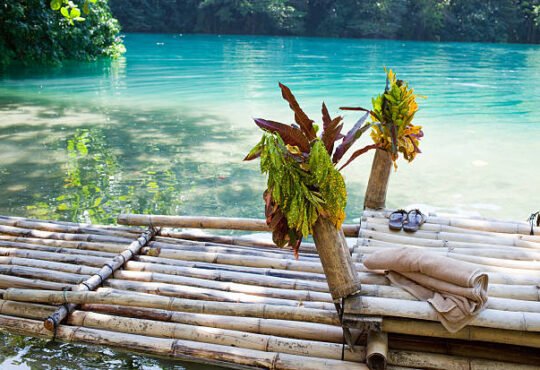legal weed farms in Montego Bay