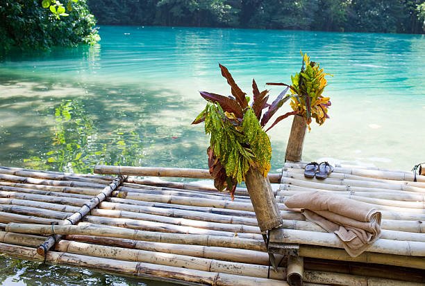 legal weed farms in Montego Bay