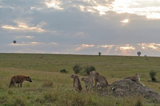East African Adventure