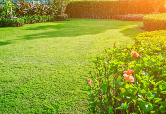 What Are the Environmental Impacts and Sustainability Aspects of Artificial Grass Carpets?