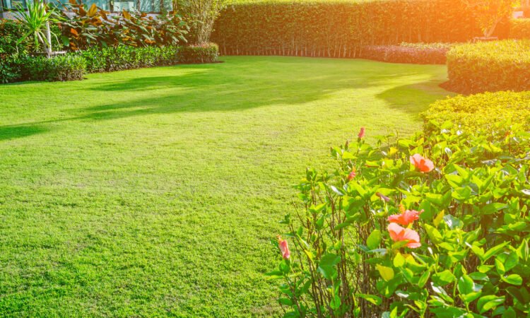 What Are the Environmental Impacts and Sustainability Aspects of Artificial Grass Carpets?