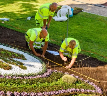 Landscaping Company Fayetteville AR