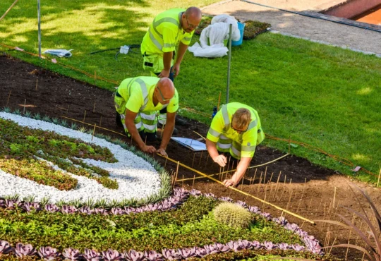 Landscaping Company Fayetteville AR