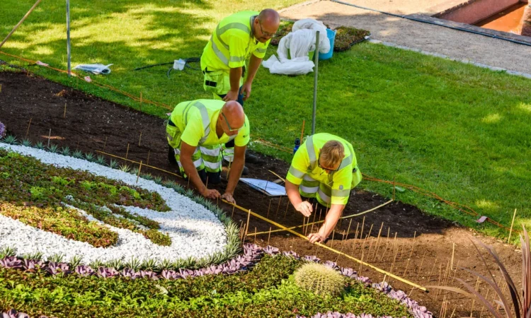 Landscaping Company Fayetteville AR