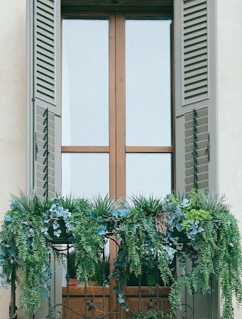 Window Shutters